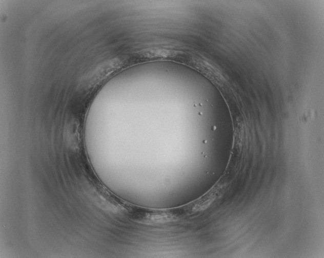 X0000060770414200511241758