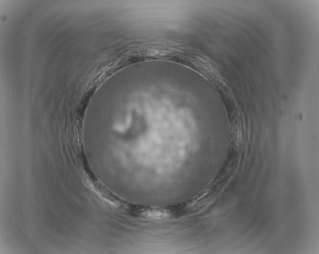 X0000060770415200511241758