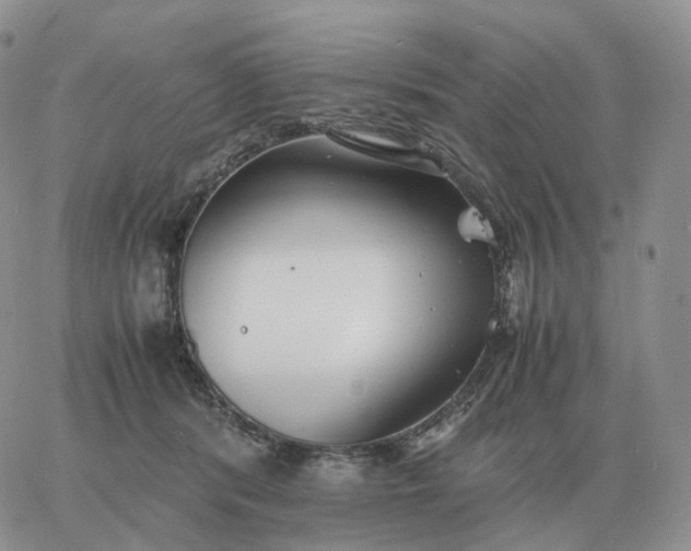 X0000060770416200511241758