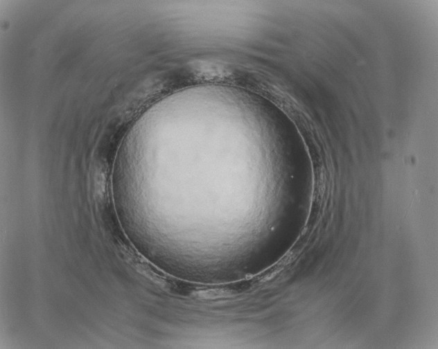 X0000060770417200511241758