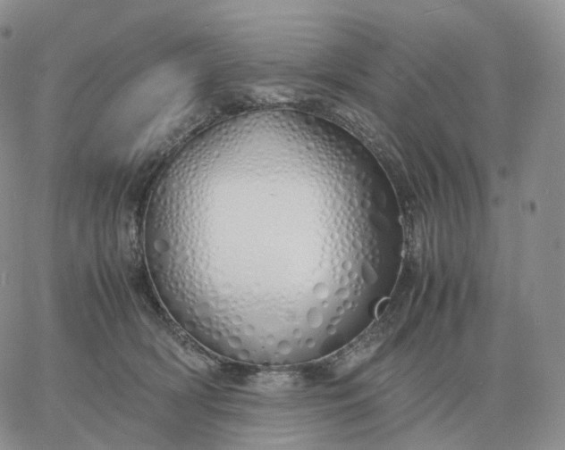 X0000060770418200511241758