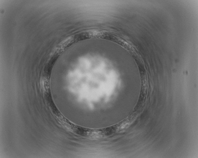 X0000060770419200511241758