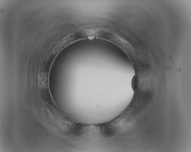 X0000060770421200511241758