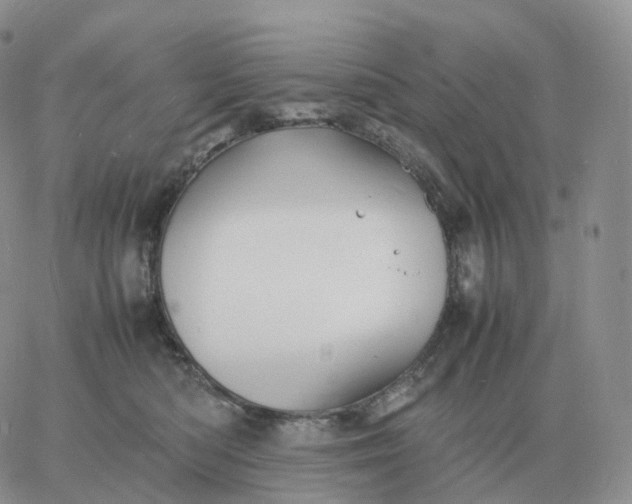 X0000060770422200511241758