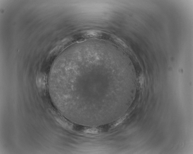 X0000060770423200511241758