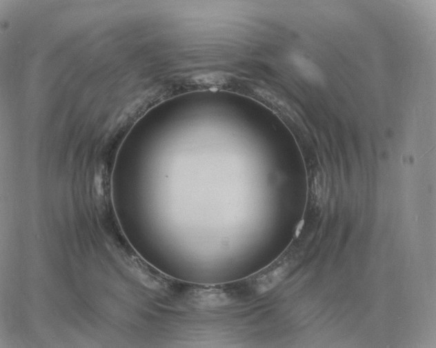 X0000060770424200511241758