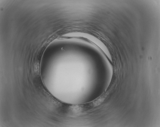 X0000060770425200511241758