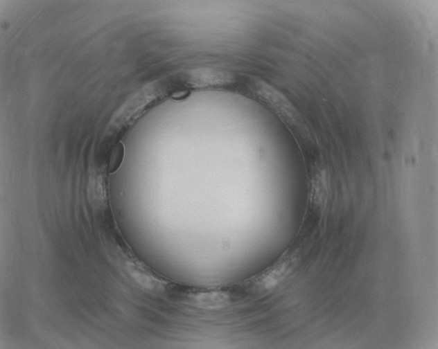 X0000060770426200511241758