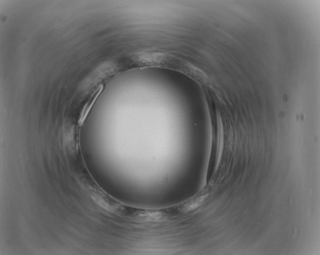 X0000060770428200511241758