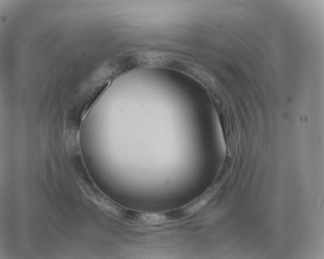 X0000060770429200511241758