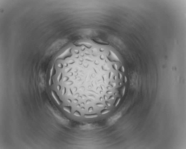 X0000060770430200511241758