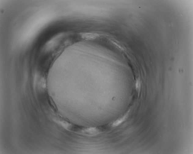 X0000060770431200511241758