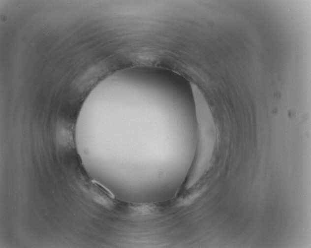 X0000060770432200511241758