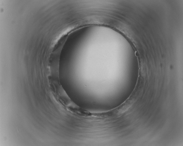 X0000060770434200511241757