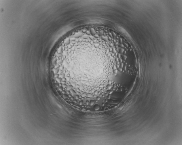 X0000060770435200511241757