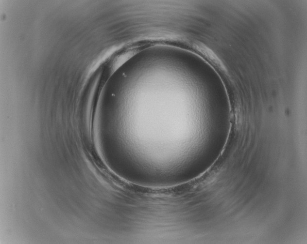 X0000060770436200511241757