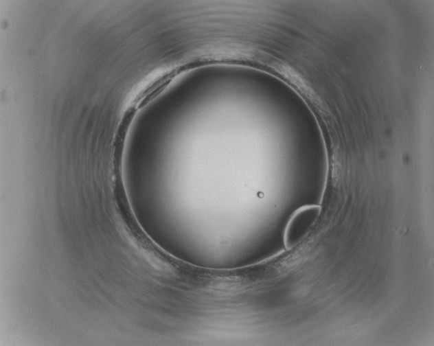 X0000060770438200511241757