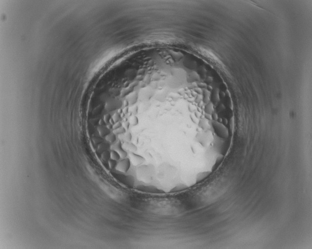 X0000060770439200511241757