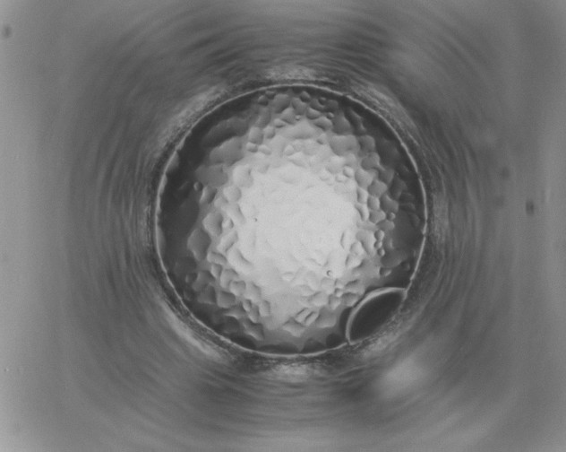 X0000060770441200511241757