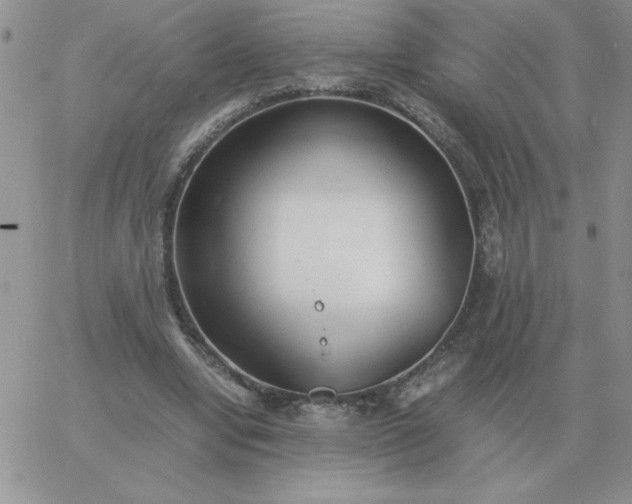 X0000060770442200511241757