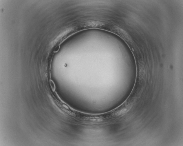 X0000060770443200511241757