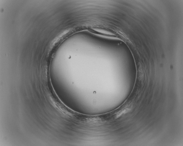 X0000060770446200511241758