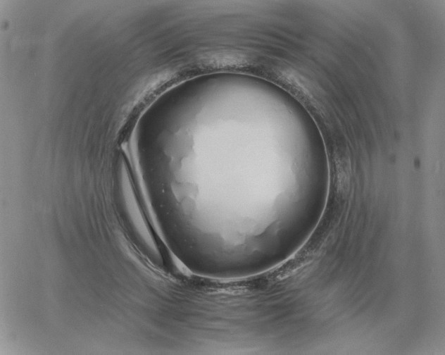 X0000060770447200511241758