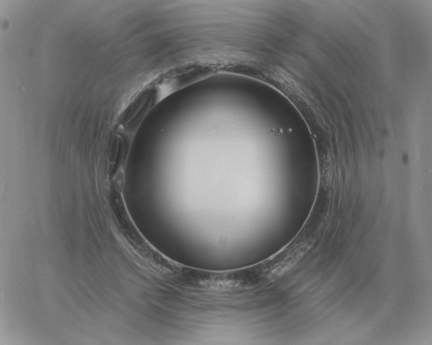 X0000060770448200511241758