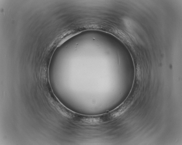 X0000060770449200511241758