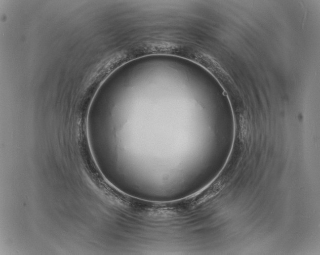 X0000060770451200511241758