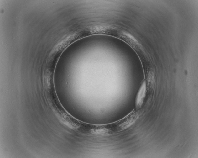 X0000060770452200511241758