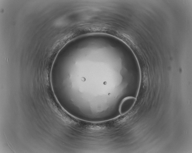 X0000060770453200511241758