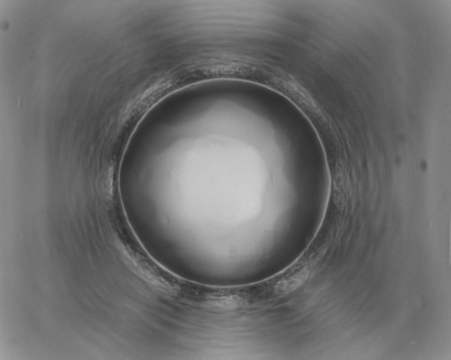 X0000060770454200511241758