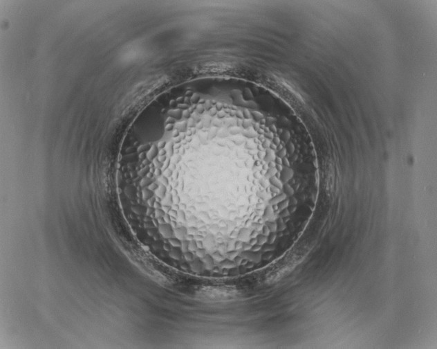 X0000060770455200511241758