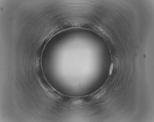 X0000060770456200511241758