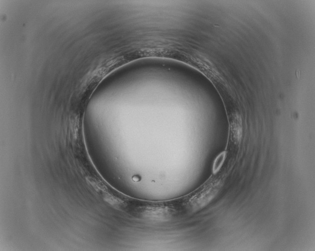 X0000060770458200511241758