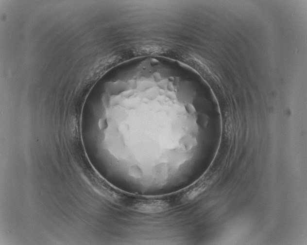 X0000060770459200511241758