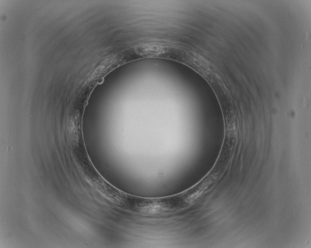 X0000060770460200511241758