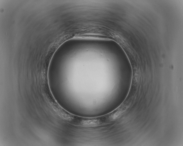 X0000060770461200511241758