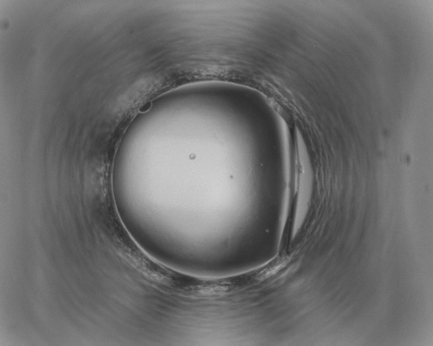 X0000060770462200511241758