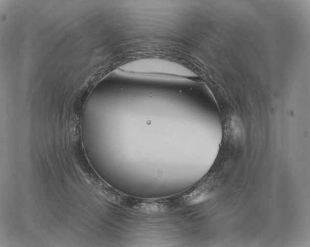 X0000060770464200511241758