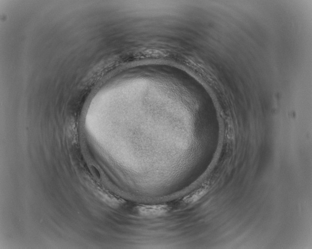 X0000060770465200511241758