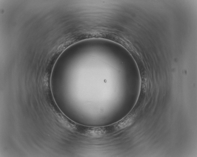 X0000060770466200511241758