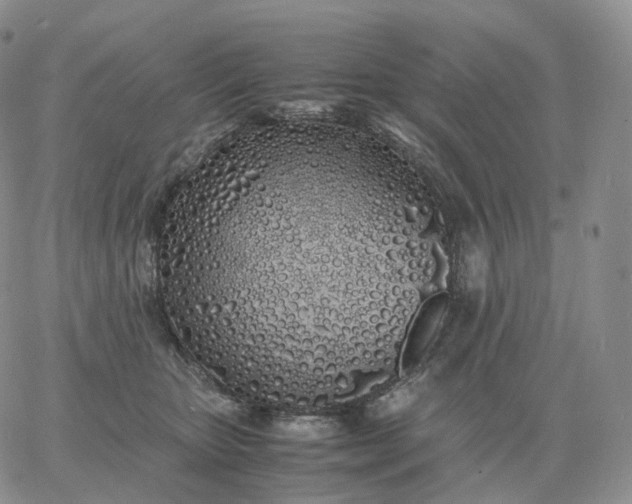 X0000060770467200511241758