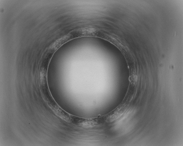 X0000060770468200511241758