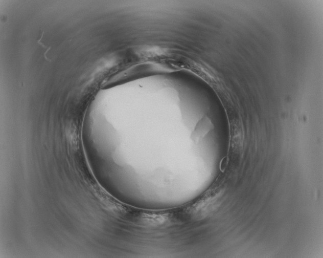 X0000060770469200511241758