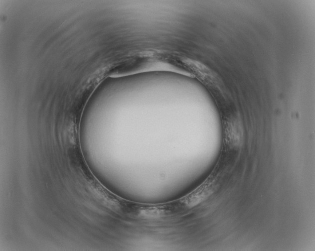 X0000060770470200511241758