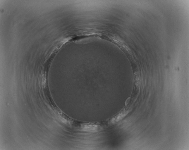 X0000060770471200511241758