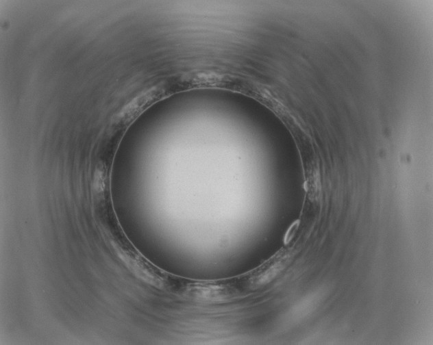 X0000060770472200511241758