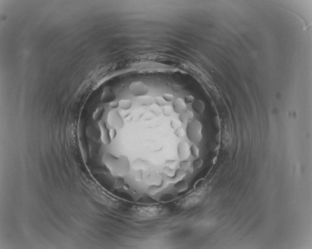 X0000060770473200511241758